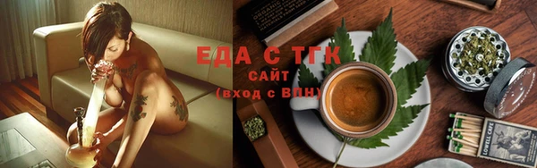 гашик Осинники