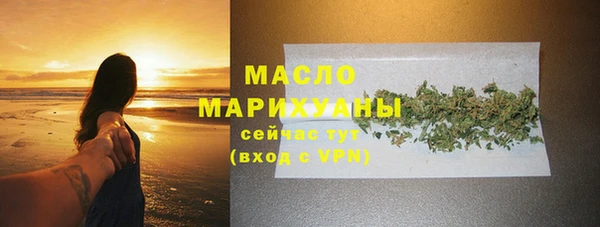 молекула духа Осташков