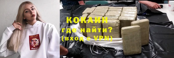 гашик Осинники