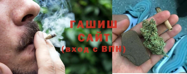 молекула духа Осташков