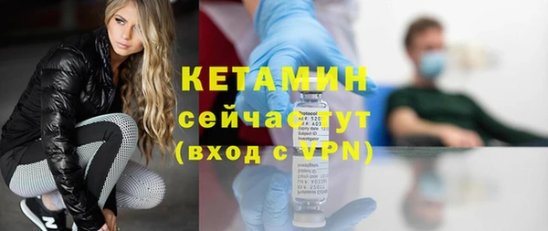 индика Нягань
