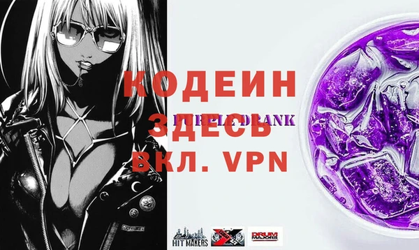 индика Нягань