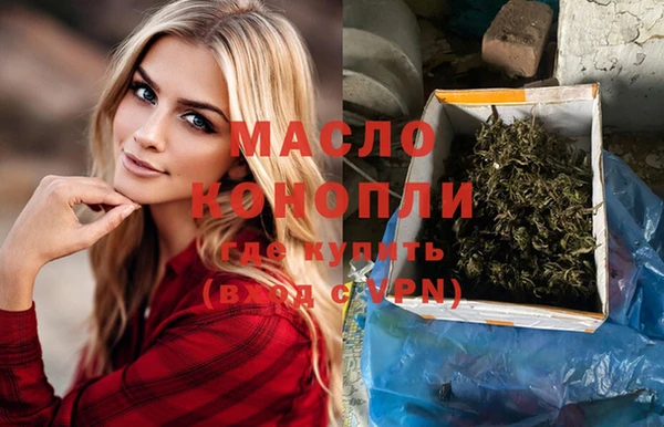 молекула духа Осташков