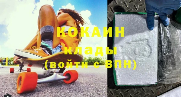 гашик Осинники