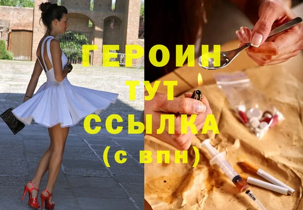 индика Нягань
