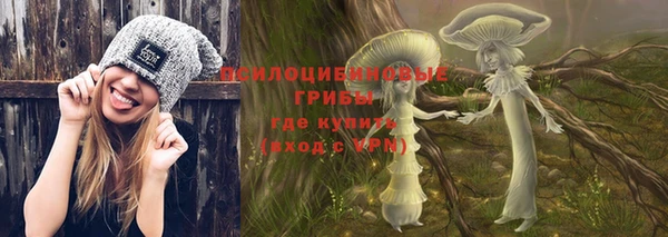 spice Бронницы