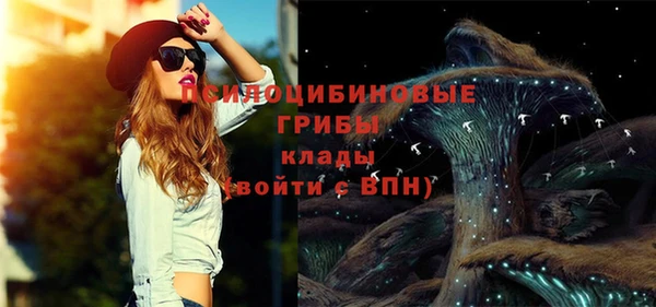 молекула духа Осташков
