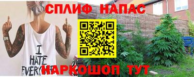 мдпв Гусев
