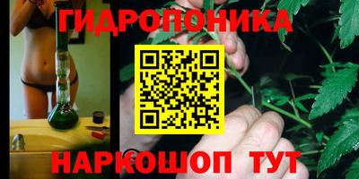 мдпв Гусев