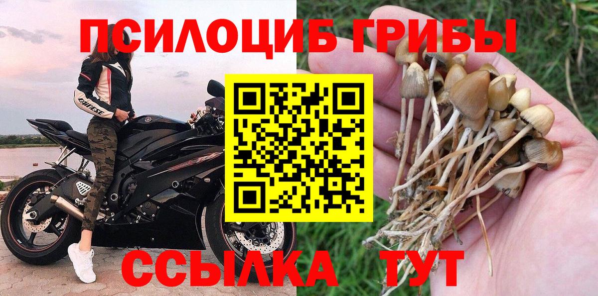Галлюциногенные грибы Cubensis  Псилоцибиновые грибы GOLDEN TEACHER  Североморск  Вход с VPN 