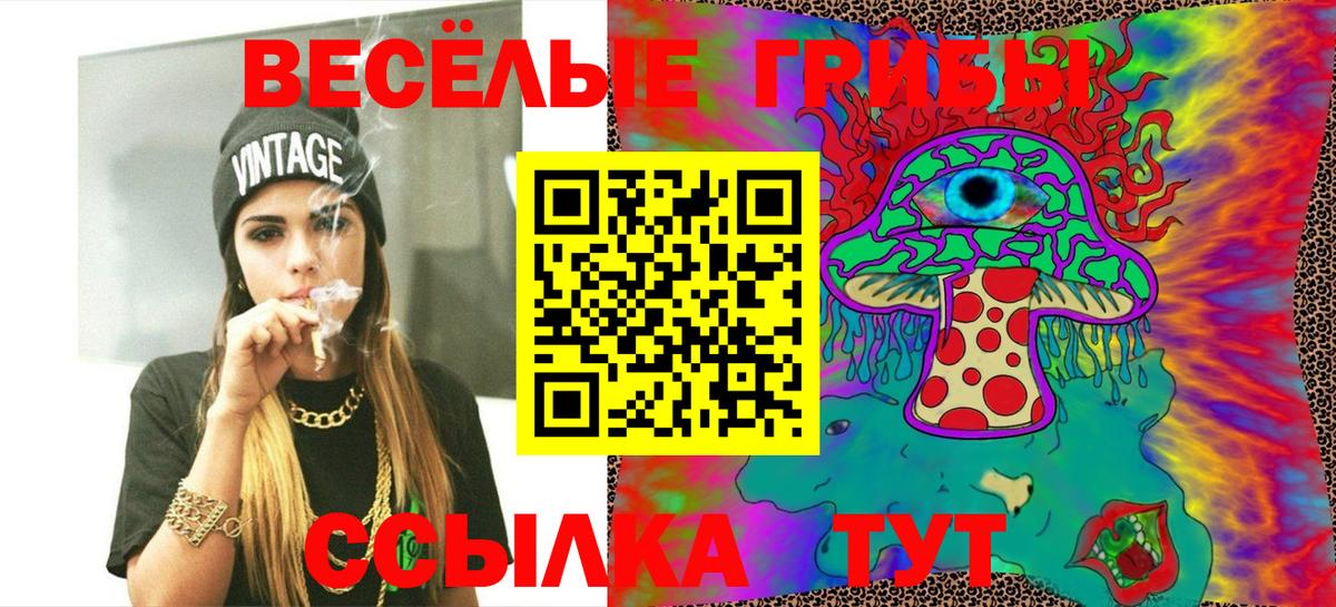 Псилоцибиновые грибы мухоморы Североморск
