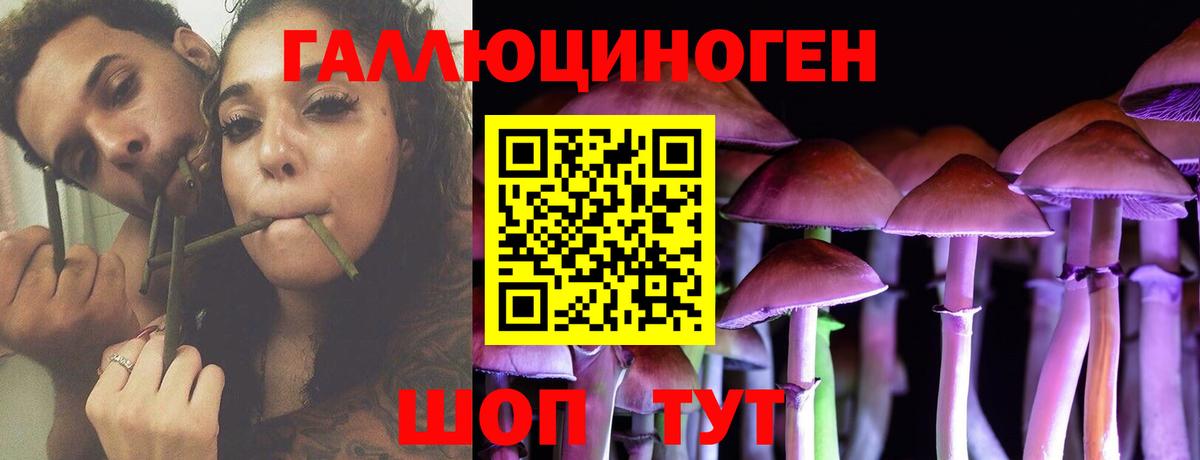 Псилоцибиновые грибы Magic Shrooms  Североморск  купить наркотик  Псилоцибиновые грибы Psilocybe 